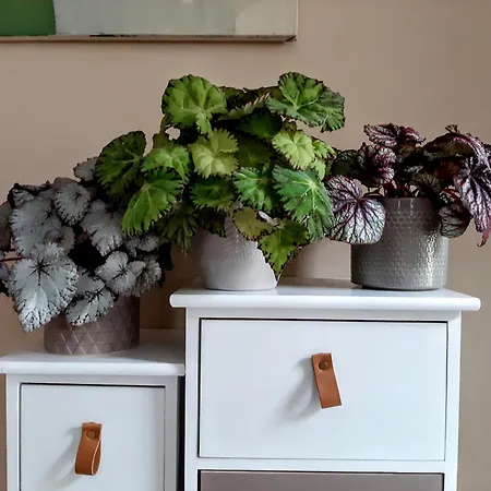 Prune D'ente - 2 - Parking - Piscine Chauffee- Terrasse - Climatisation بيت للعطل Bourran