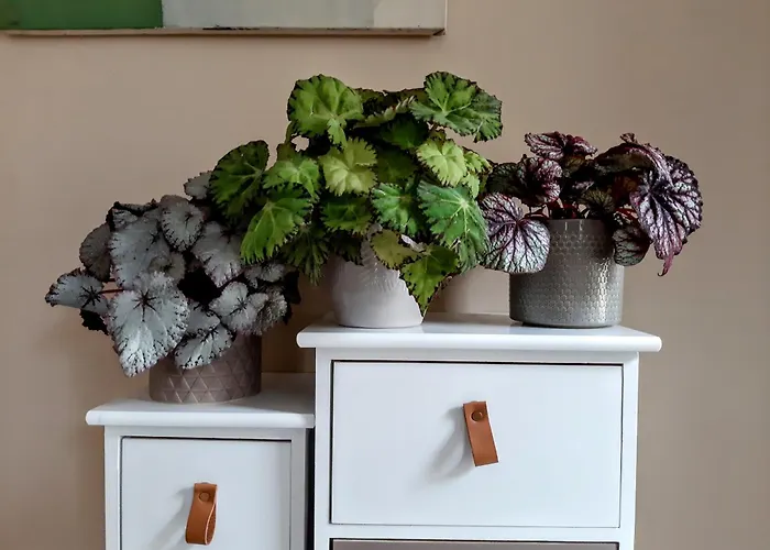 Prune D'ente - 2 - Parking - Piscine Chauffee- Terrasse - Climatisation בית נופש Bourran